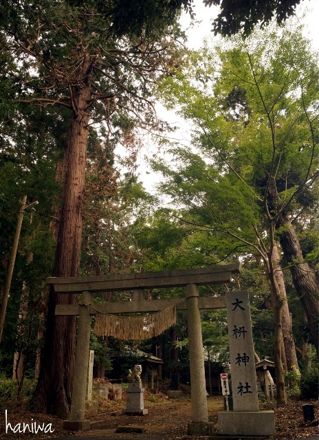 f:id:nyorokolog:20191027213837j:image