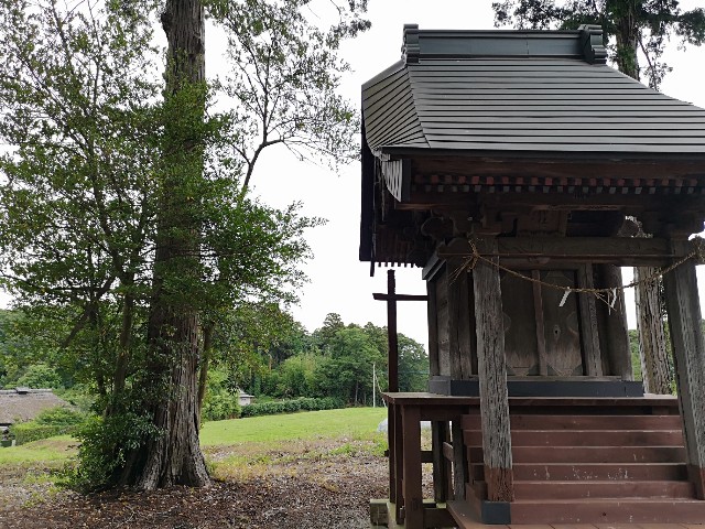 f:id:nyorokolog:20191113195429j:image