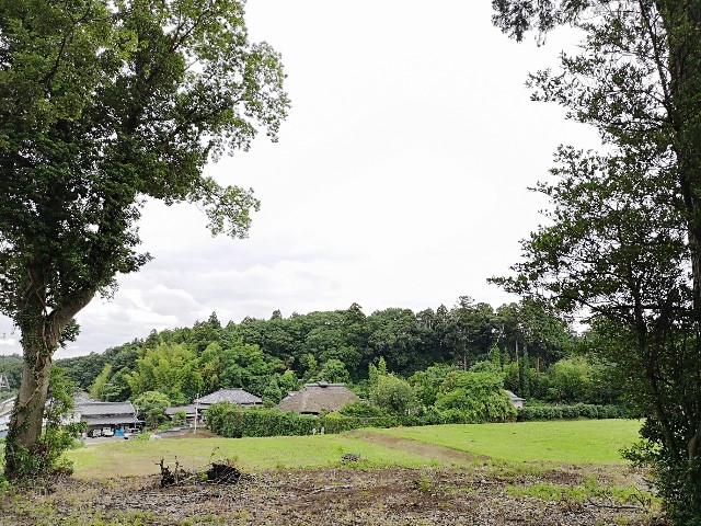 f:id:nyorokolog:20191113195556j:image