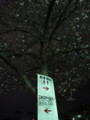 20100401205912