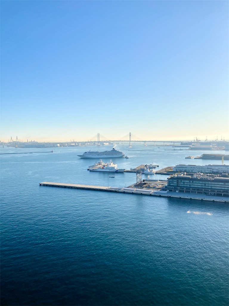 f:id:nyorron:20201231192415j:image f:id:nyorron:20201231192415j:image