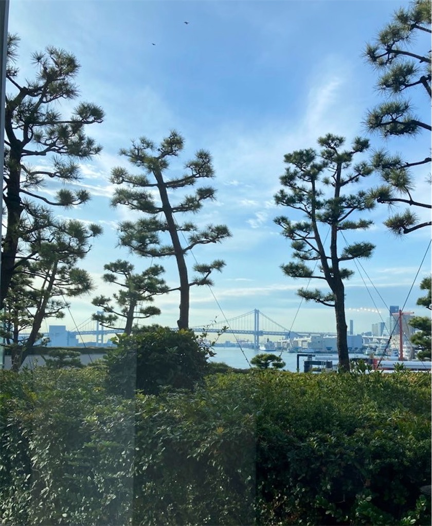 f:id:nyorron:20210110235649j:image f:id:nyorron:20210110235649j:image