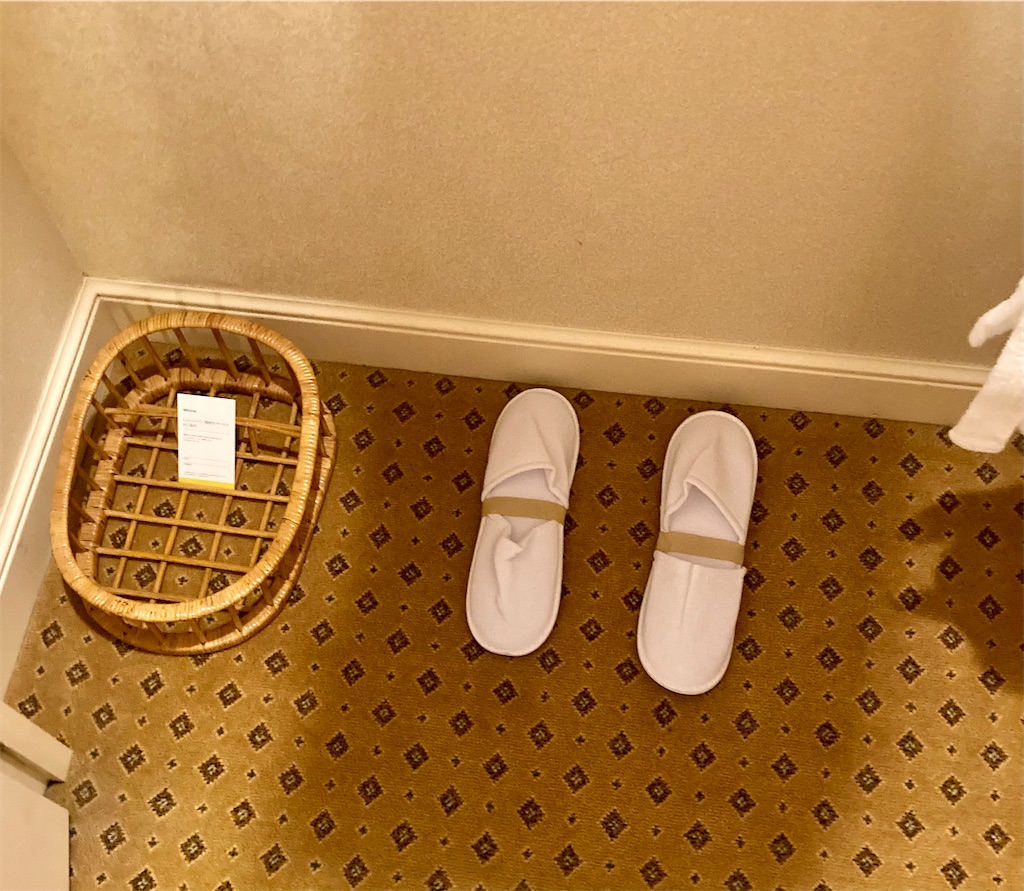 f:id:nyorron:20210119210901j:image f:id:nyorron:20210119210901j:image