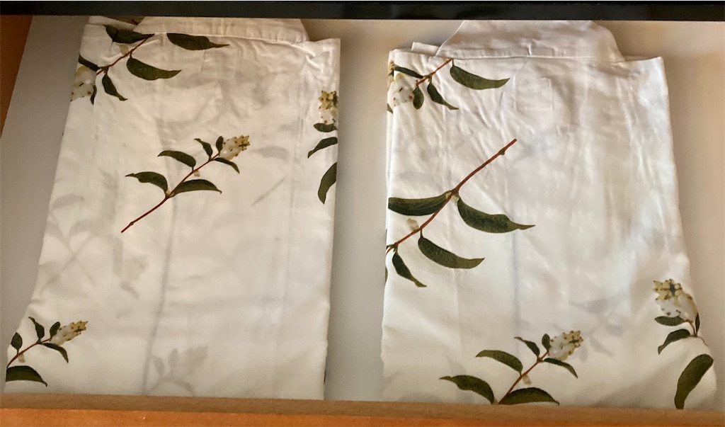 f:id:nyorron:20210119211423j:image f:id:nyorron:20210119211423j:image