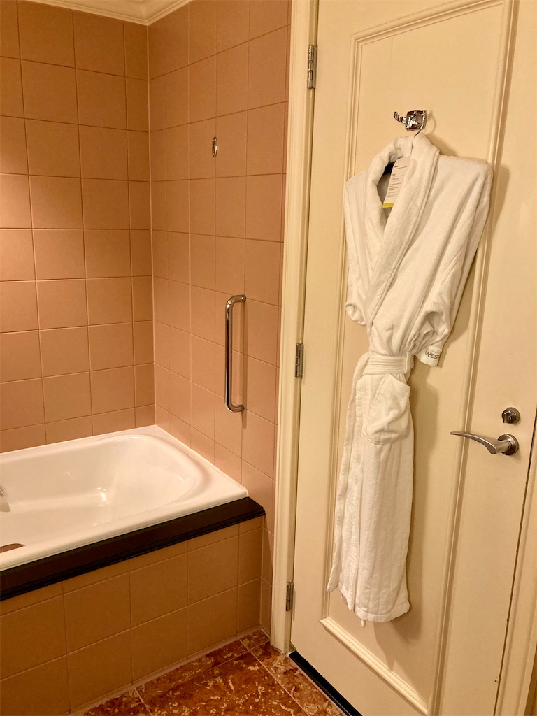 f:id:nyorron:20210119212043j:image f:id:nyorron:20210119212043j:image