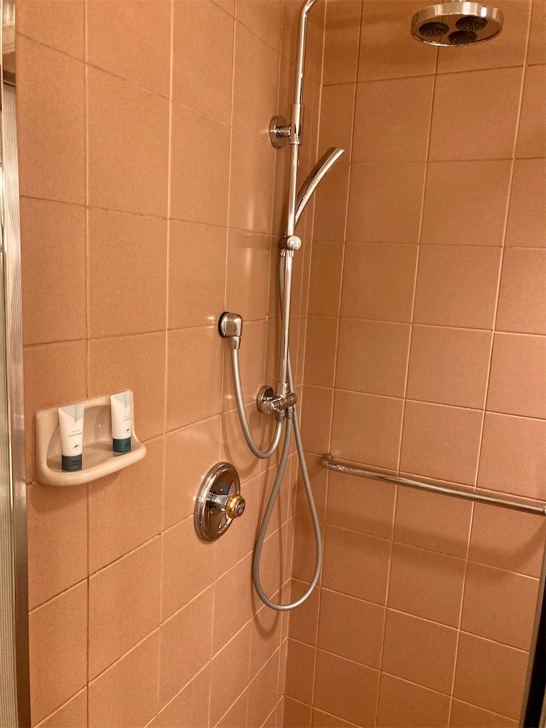 f:id:nyorron:20210119212130j:image f:id:nyorron:20210119212130j:image