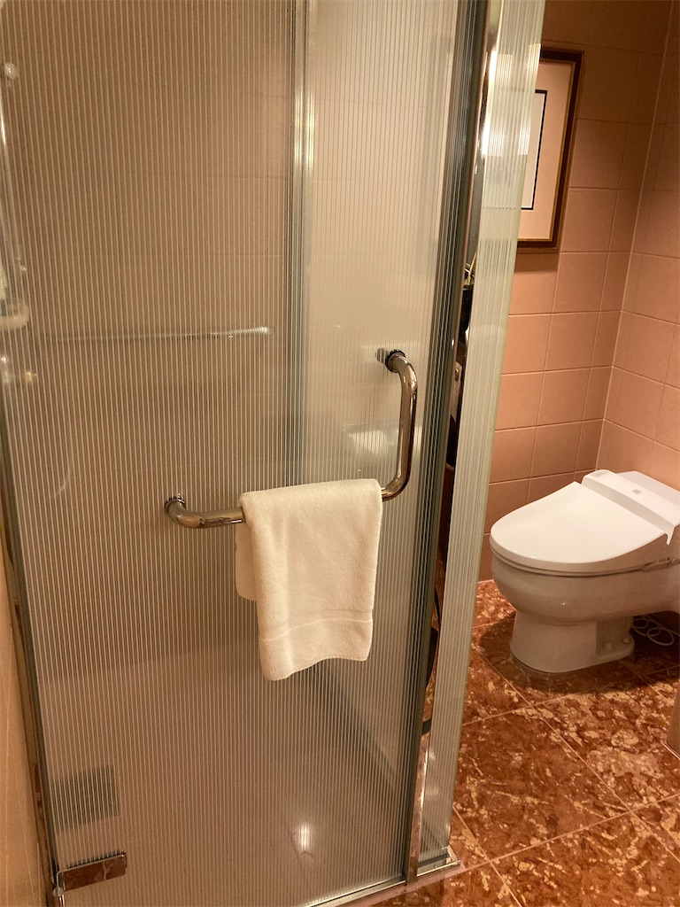 f:id:nyorron:20210119212136j:image f:id:nyorron:20210119212136j:image