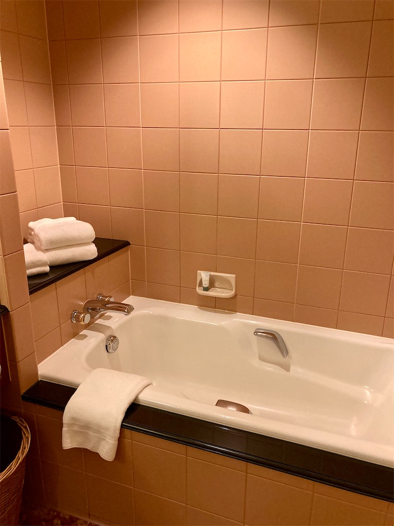 f:id:nyorron:20210119212405j:image f:id:nyorron:20210119212405j:image