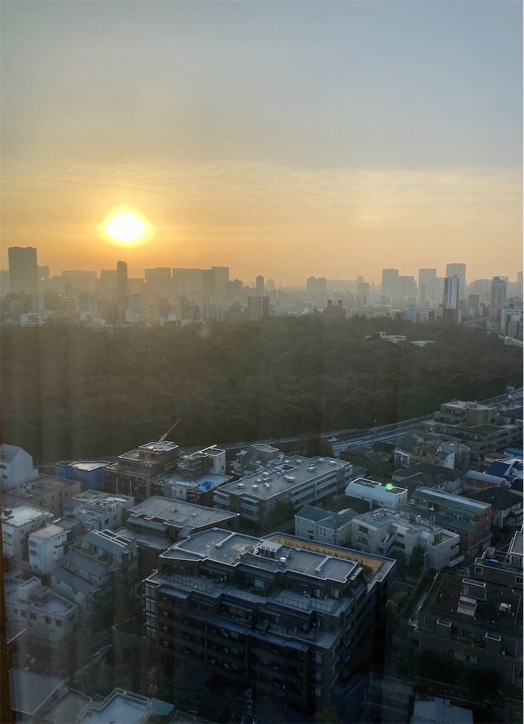 f:id:nyorron:20210124000802j:image f:id:nyorron:20210124000802j:image