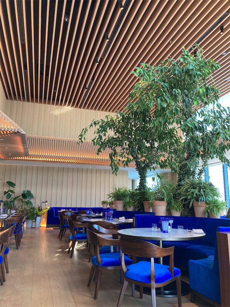 f:id:nyorron:20210206095751j:image f:id:nyorron:20210206095751j:image