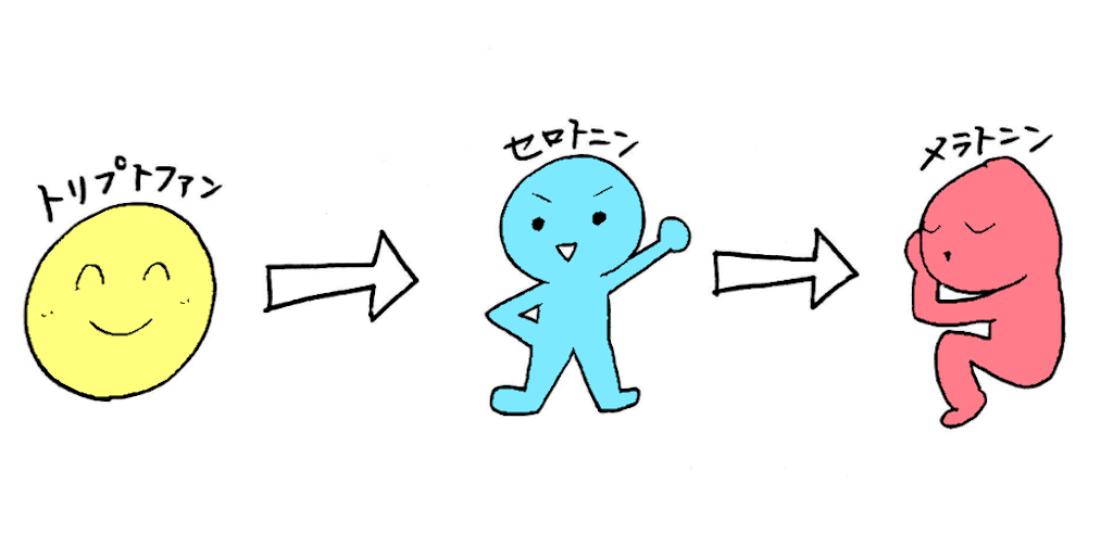 f:id:nyrk0206:20181024212559p:image