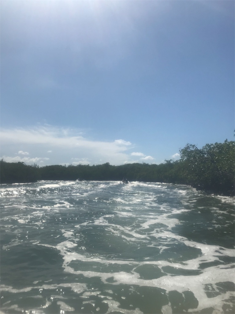 f:id:nyserendipity:20180626010327j:plain f:id:nyserendipity:20180626010327j:plain