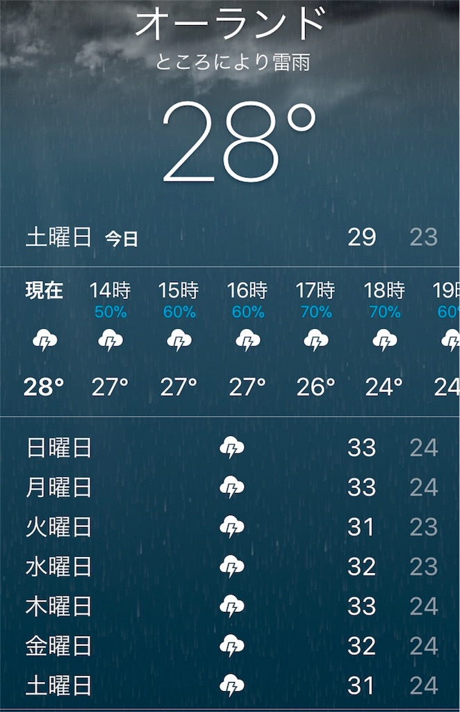 7月8月9月のオーランドをディズニーワールドを満喫するための雨対策18 American Serendipity 7月8月9月のオーランドをディズニーワールドを満喫するための雨対策18 American Serendipity