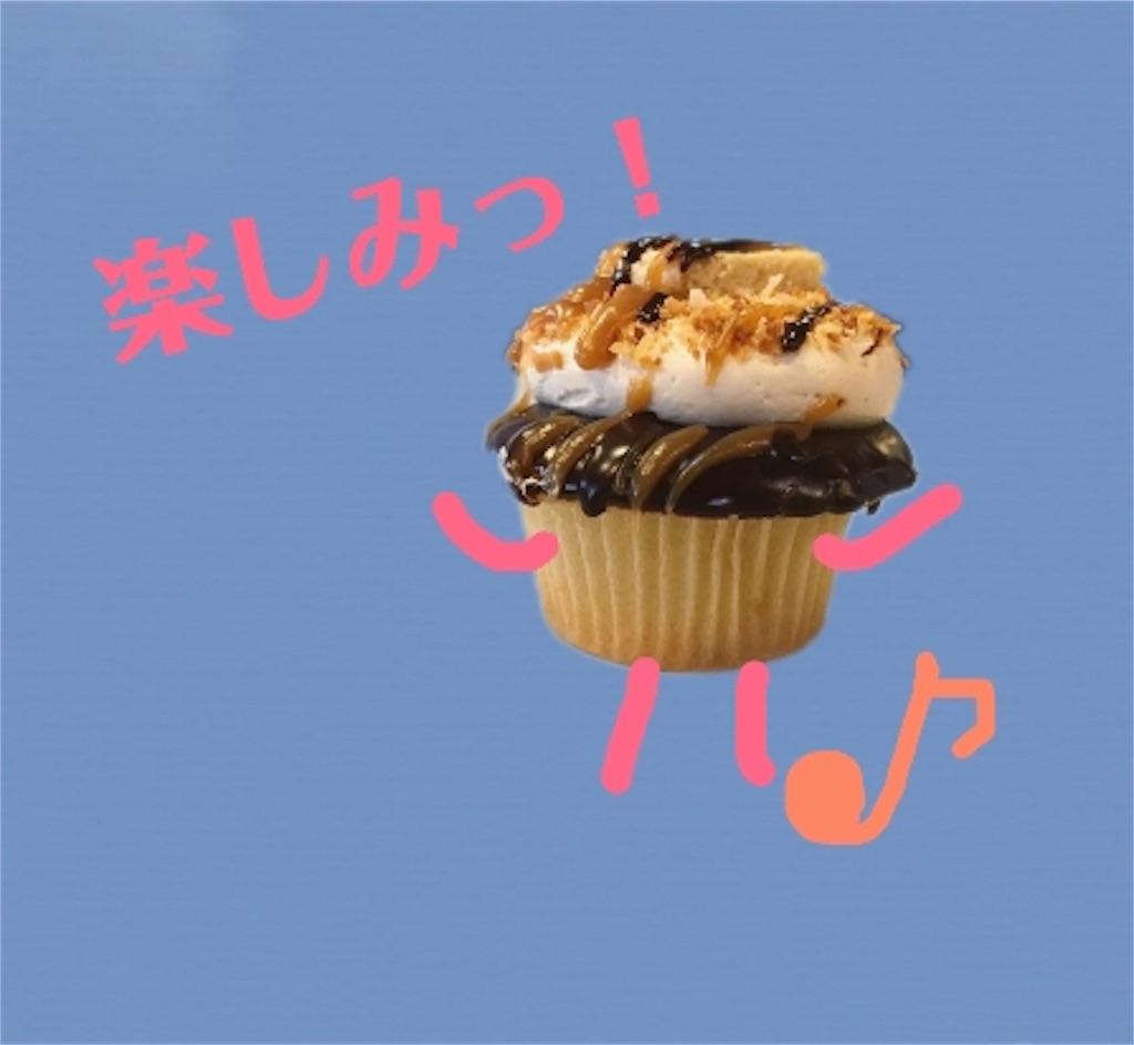 f:id:nyserendipity:20190213064048j:plain f:id:nyserendipity:20190213064048j:plain