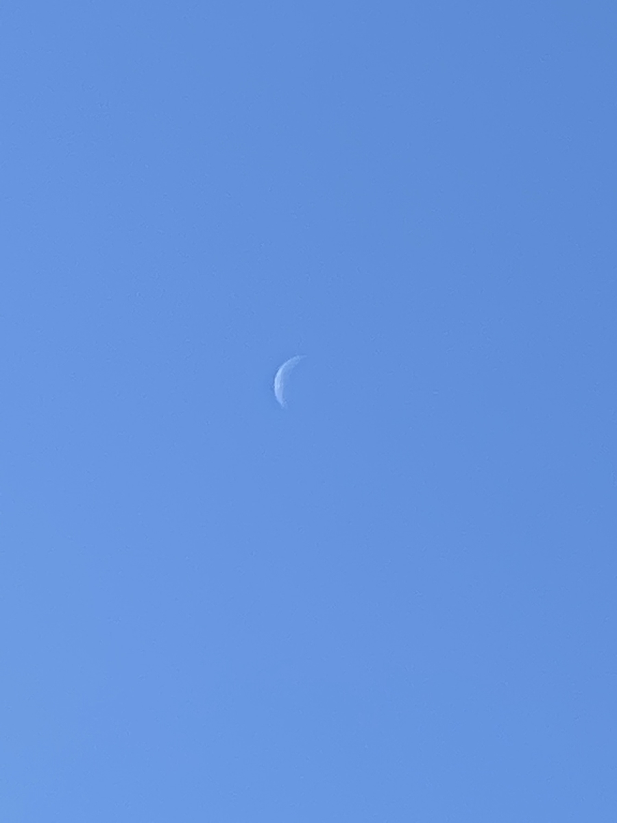 f:id:nyue626:20201111205526j:plain f:id:nyue626:20201111205526j:plain