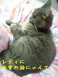 f:id:nyuge3:20071024171742j:image f:id:nyuge3:20071024171742j:image