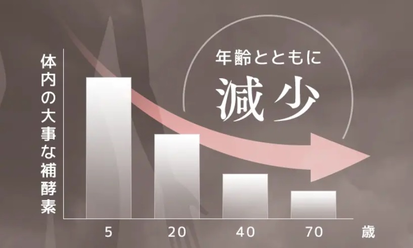 補酵素は年齢とともに減少してしまう