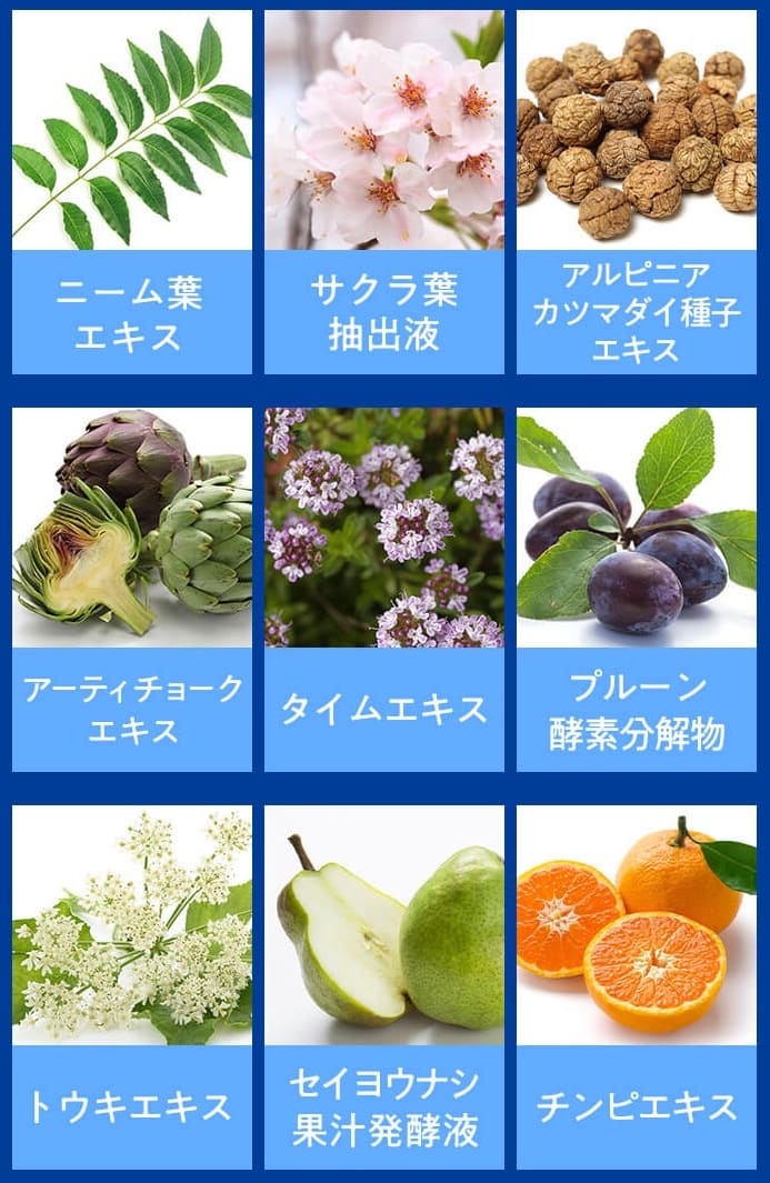 asiamの保湿成分