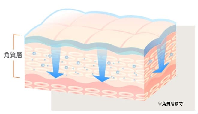 アドライズは角質層まで深く浸透