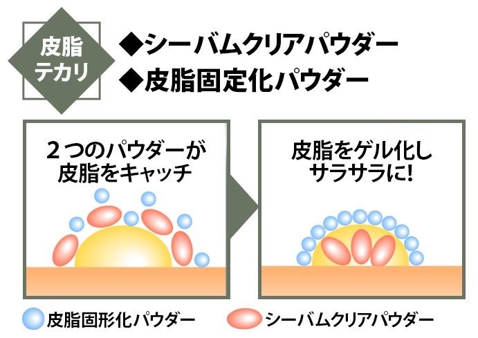 テカリ防止成分