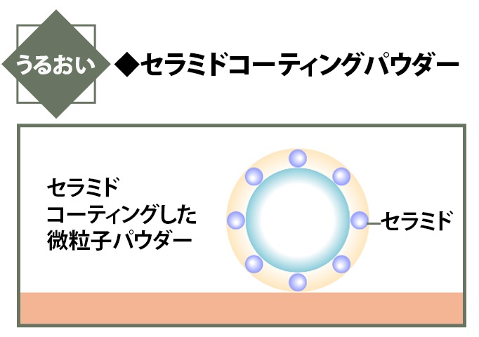 セラミドコーティングパウダー