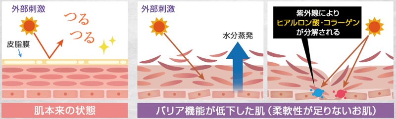 皮脂量が減る