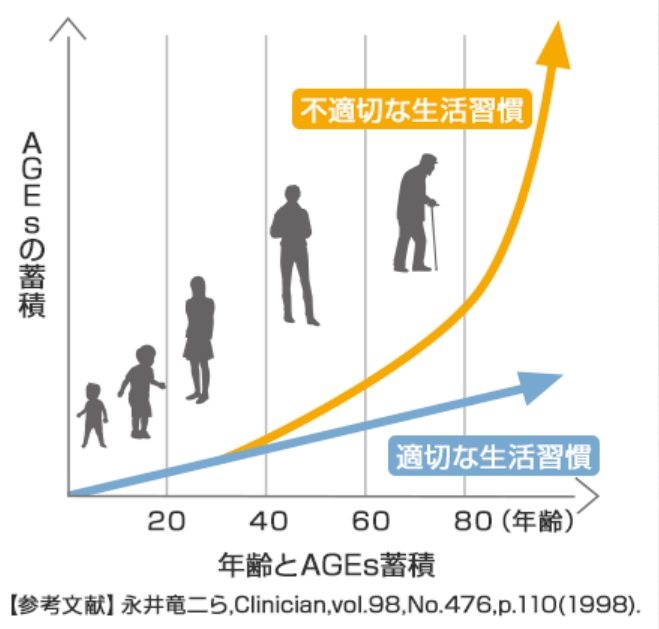 糖化の影響で老化が進む