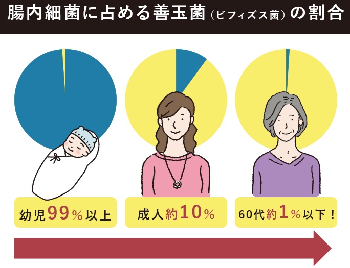 善玉菌の数が減少