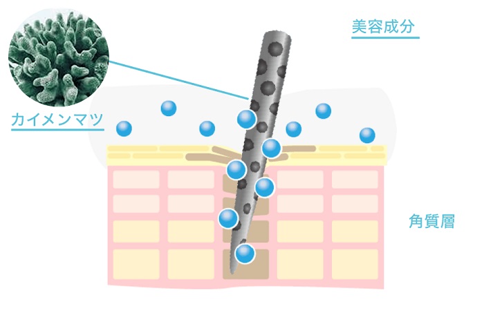 天然の針由来成分「カイメンマツ」