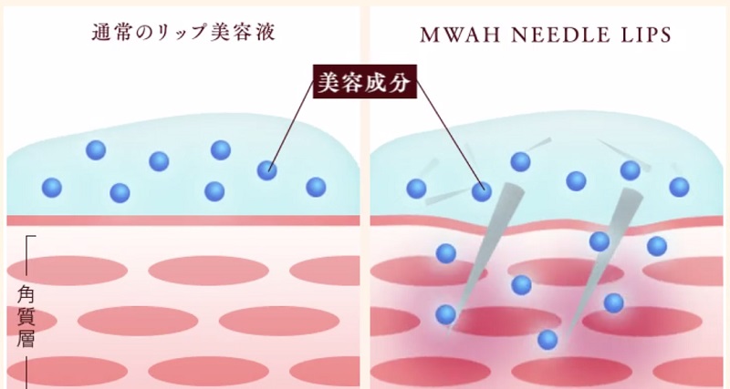 美容成分を肌の奥まで届ける