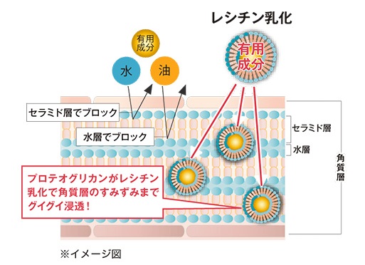 レシチンの構造