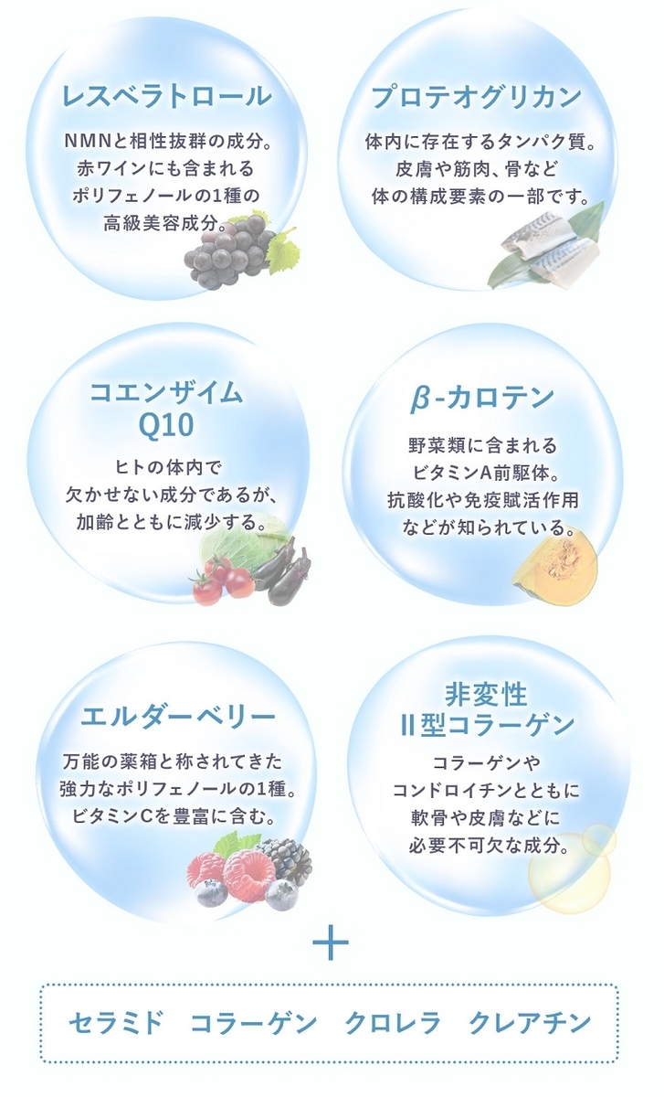 Premium NMN20000に入っている栄養成分