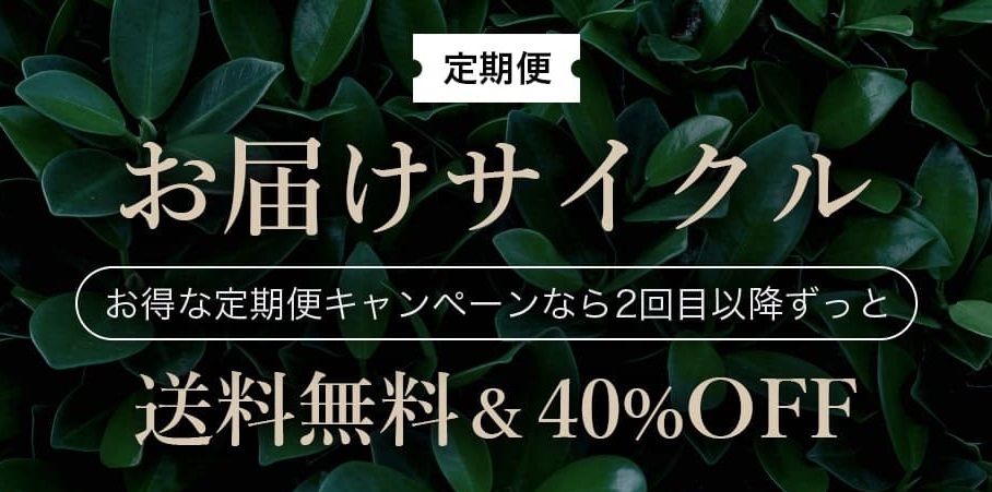 定期コースがお得