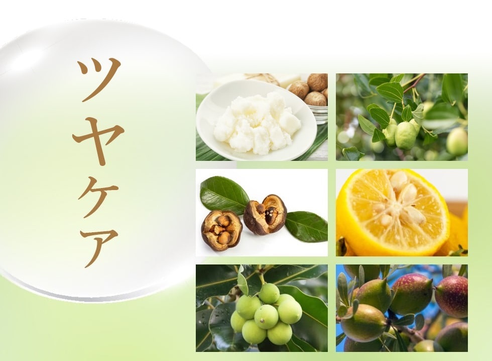 髪につやを与える成分