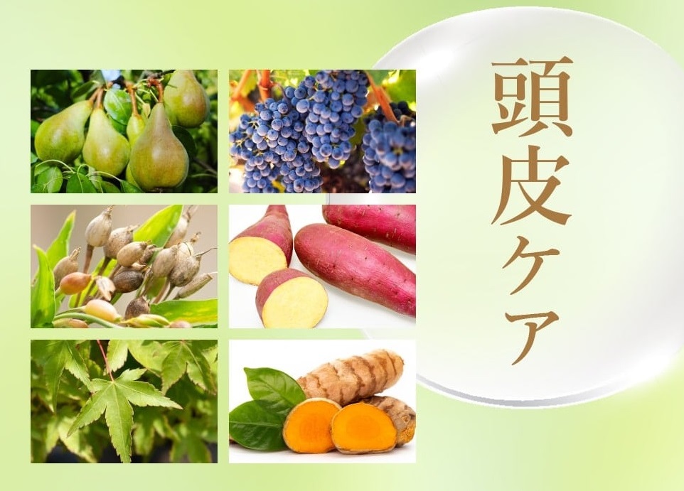 頭皮をケアする成分