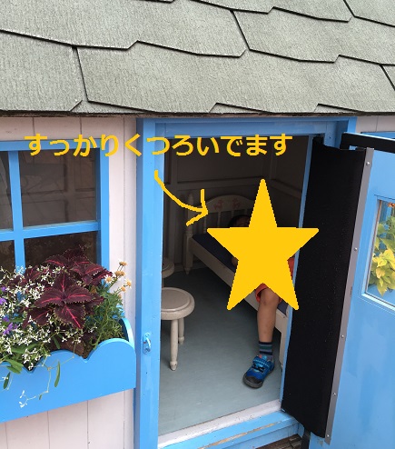 f:id:nyuuko:20170529115748j:plain f:id:nyuuko:20170529115748j:plain