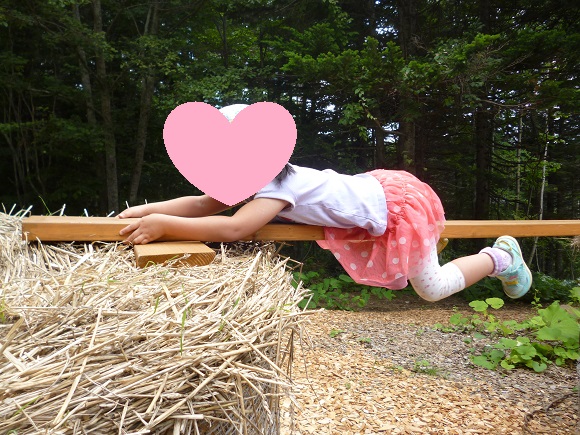 f:id:nyuuko:20170612215046j:plain f:id:nyuuko:20170612215046j:plain
