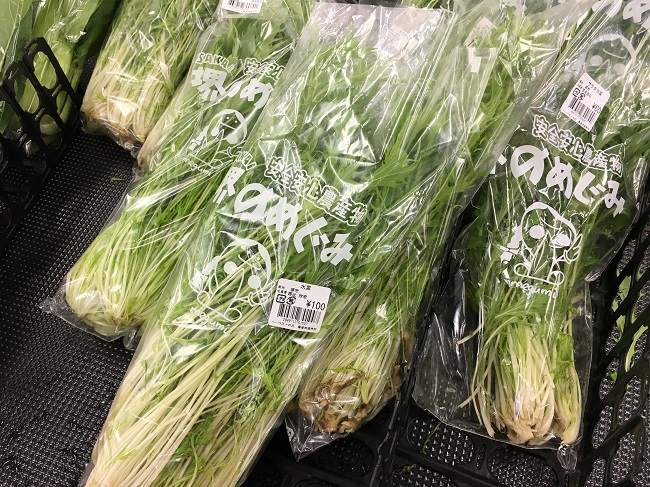 水菜 水菜