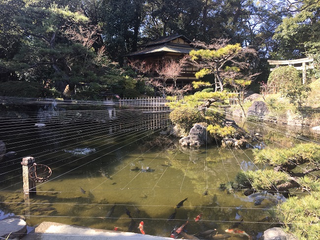 f:id:nyuuko:20180324161705j:plain f:id:nyuuko:20180324161705j:plain