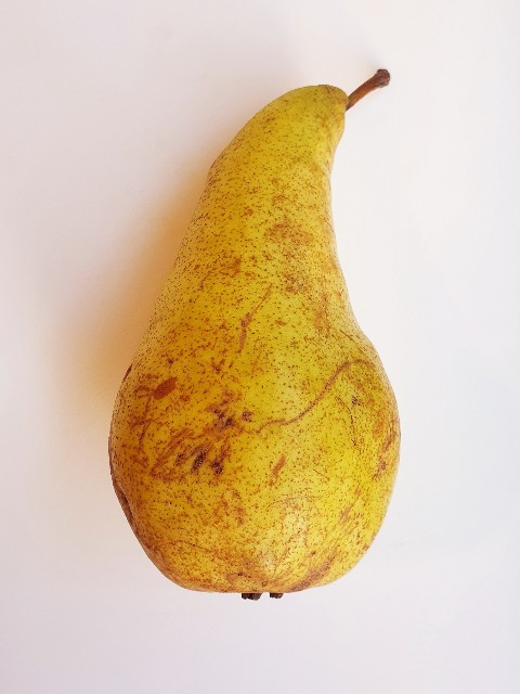 f:id:nzYamagata:20201106012228j:plain f:id:nzYamagata:20201106012228j:plain