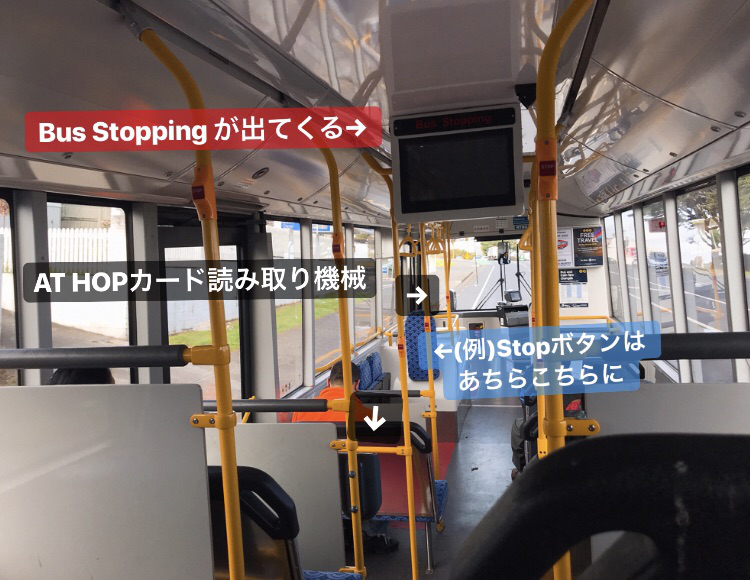 f:id:nzjp_kokusai:20190705202341p:plain