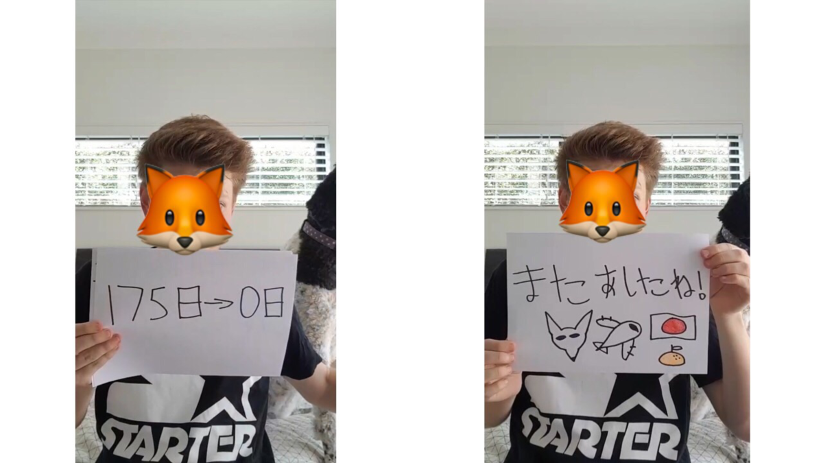 f:id:nzjp_kokusai:20190707155114p:plain