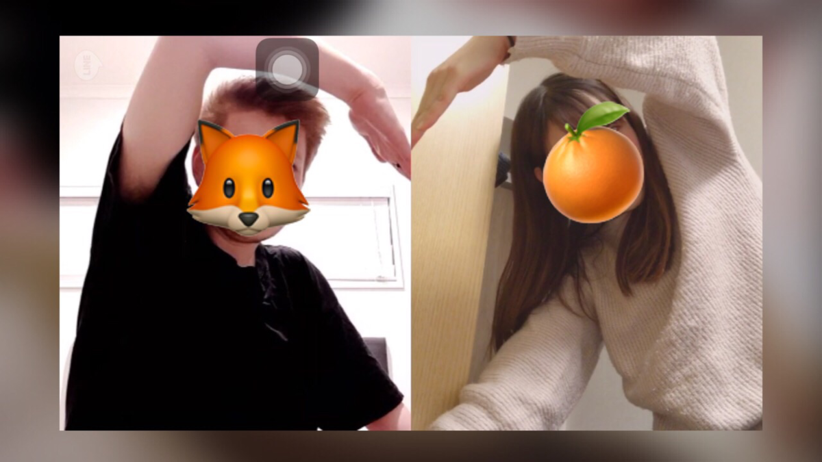 f:id:nzjp_kokusai:20190707161127p:plain