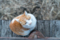 FE50mm F1.8mm F3.2