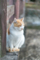 FE50mm F1.8mm F1.8
