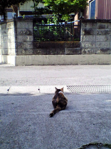 f:id:o-afuro:20080601151000j:image