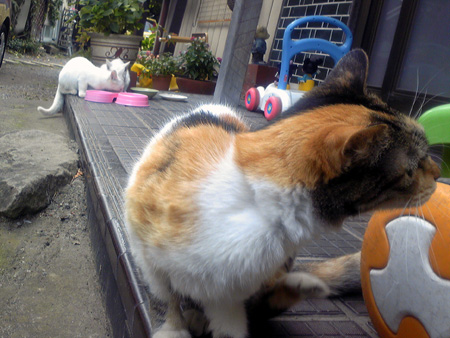 f:id:o-afuro:20090923100628j:image