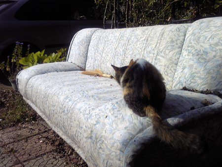 f:id:o-afuro:20090924090948j:image