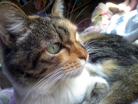 f:id:o-afuro:20090924145412j:image