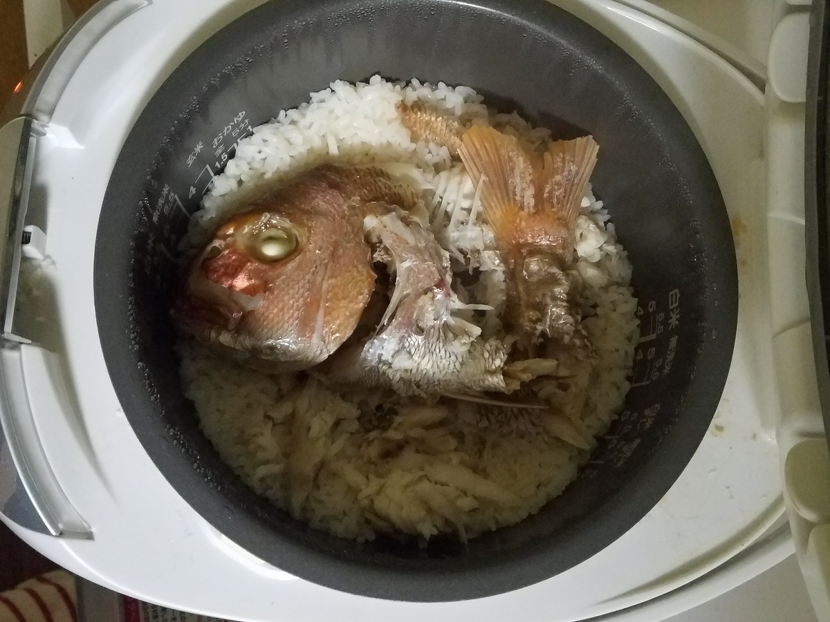 f:id:o-enkanami:20190405225458j:plain